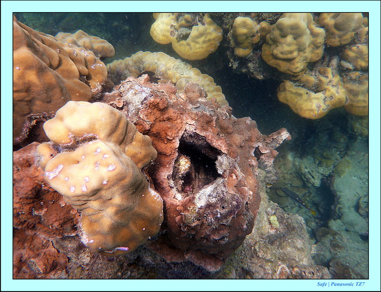 2011 - 03 - Koh Kradan 065